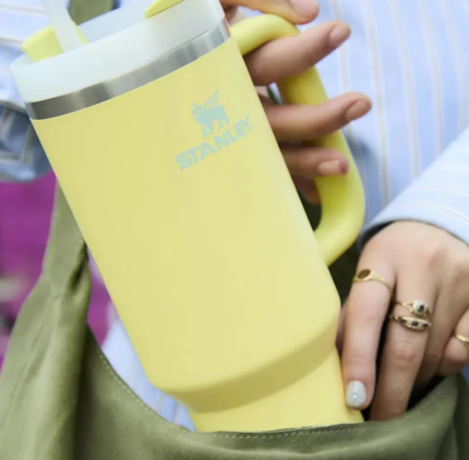 Stanley - The Quencher H2.0 Flowstate™ Tumbler | 40oz